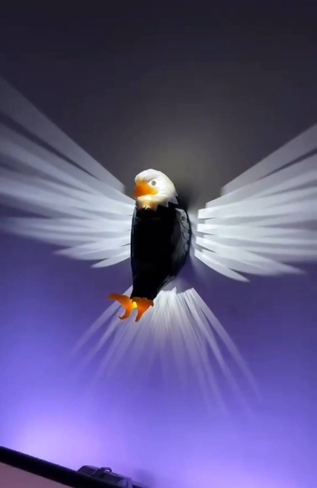 3D Eagle Wall Light – Stunning Wing Shadow Projector